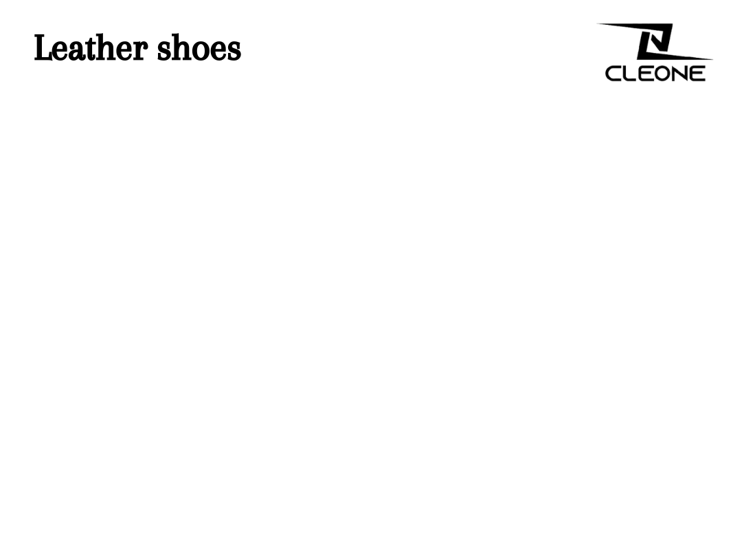 Leather Shoes